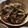 さわきただやす's cooksnap of when they made 豚こまと茄子の生姜炒め.
