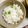 akko♪（＾＾）♪'s cooksnap of when they made グリンピースごはん.