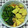 プリヲ's cooksnap of when they made 筍と折り菜の煮物.