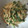 yknaaa's cooksnap of when they made ピーマンとえのきのマヨポン炒め.