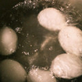 u_mi_n's cooksnap of when they made 運動会に　つるりん殻むけ絶品半熟玉子.