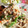 naokinawa's cooksnap of when they made シーチキンともやしのおから炒め.