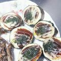 なおころピッコロ's cooksnap of when they made なすびのマヨチーズ焼き☆.