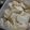 cocokame's cooksnap of when they made かぶの漬物.