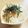 シナモシナモ's cooksnap of when they made 新玉ねぎサラダ！.