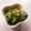 AYRH♡'s cooksnap of when they made 小松菜とコーンのごま和え.