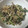 P太郎ママ's cooksnap of when they made 簡単！きのことたらこの炒め物。.