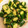 クックX2QYTG☆'s cooksnap of when they made きゅうりの中華風漬物.