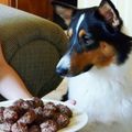 airgroove's cooksnap of when they made ✿愛犬と一緒にワンバーグU・ェ・U✿.