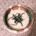 MIZUU_PP's cooksnap of when they made 簡単！お粥（生米から炊きます）.