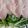 クック6DU6D8☆'s cooksnap of when they made 地中海式＃シーザーサラダドレッシング.
