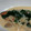 numami's cooksnap of when they made 鮭のクリーム煮を豆乳で.