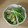 ❤ゆうちゃん❤'s cooksnap of when they made 水菜とさつま揚げのごま醤油和え☆.