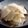 スタイリッシュママ's cooksnap of when they made 大根のパリパリうまうま漬け.