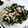 はるたんママ0727's cooksnap of when they made ♪超簡単♪きゅうりとワカメのサラダ.