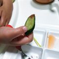 さるぱんだ's cooksnap of when they made 梅キュウ.