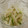 どくろパンダ☆'s cooksnap of when they made 簡単 大根ときゅうりのサラダ.