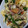 ふぁんたにゃん's cooksnap of when they made 豚肉とほうれん草の肉野菜炒め.