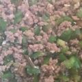ふぁんたにゃん's cooksnap of when they made 簡単☆ピーマンのそぼろ丼.