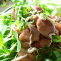 おしす's cooksnap of when they made 簡単とり肉の照り焼きネギマヨ★.