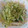 kko-h's cooksnap of when they made 簡単♪えのきのチン☆.