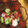 morio28's cooksnap of when they made きゅうりと蛸の酢の物.