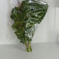 よちりん's cooksnap of when they made 簡単便利！生パセリの保存.