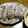 kota77's cooksnap of when they made マグロ漁師さん絶品しゃこ捌き方から刺身.