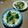 ビキナーもんちゃん's cooksnap of when they made 菜の花とあさりのパスタ.