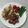 サーフブレイド's cooksnap of when they made 簡単！キャベツとじゃこの醤油炒め.