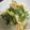 ぷーーー♡'s cooksnap of when they made ご飯が進む！カリカリ油揚げと豆苗の油炒め.