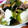お芋とトマト's cooksnap of when they made 厚揚げとトロ～リ半熟卵の煮物.