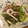 フレッシュトマト's cooksnap of when they made 簡単！小松菜とイカのピリ辛炒め♪.