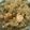 ハッピィ0730's cooksnap of when they made きのことサーモンの炊き込みごはん.