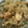 ハッピィ0730's cooksnap of when they made きのことサーモンの炊き込みごはん.