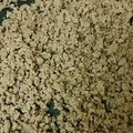 ハマメグユウ's cooksnap of when they made 作り置き 甘辛豚そぼろ.