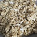 クック09FK52☆'s cooksnap of when they made [覚書] 簡単！まいたけご飯.
