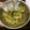 クックNMU2C1☆'s cooksnap of when they made もやしときゅうりの中華風サラダ ５日目.