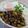 caramel-cookie's cooksnap of when they made 簡単エスニック♪なそぼろ丼.
