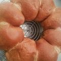 もふ♪もふ's cooksnap of when they made 簡単♪ふすま(ブラン)パンでちぎりパン☆.