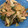 minao2318's cooksnap of when they made 家にあるもので簡単！☆野菜炒め！.