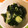 keroro38's cooksnap of when they made ワカメときゅうりの酢の物.