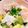 クックM9Z69A☆'s cooksnap of when they made 手抜日に！簡単アボカドしらす丼.
