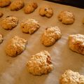 alpage's cooksnap of when they made ナッツとオートミールのクッキー.