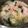 たなかno's cooksnap of when they made 創味シャンタンで！絶品塩にんにく鍋.