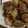 あやちぶ's cooksnap of when they made 揚げずにから揚げ・「から揚げず」.