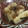 マルルル's cooksnap of when they made 簡単☆筍の土佐煮.