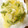 明日も晴れ's cooksnap of when they made 新玉ねぎとスナップエンドウのかき揚げ.