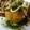 mimi☆ko's cooksnap of when they made たこ焼き（外カリ、中とろ～っ）.