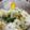 パパの手料理☆'s cooksnap of when they made ガーリックライス.